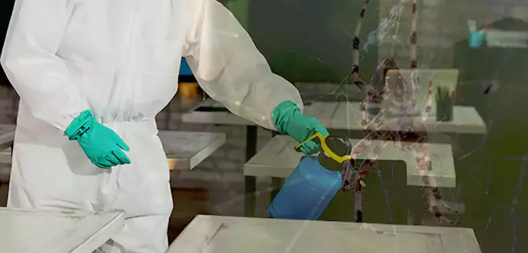 Why Buyers Still Want Homes With Pest Infestations in Oxnard, CA?