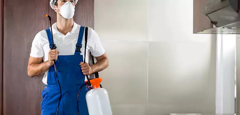 Why Oxnard Homeowners Choose Us When Pests Make Selling Difficult